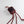 Spider DJ Keychain